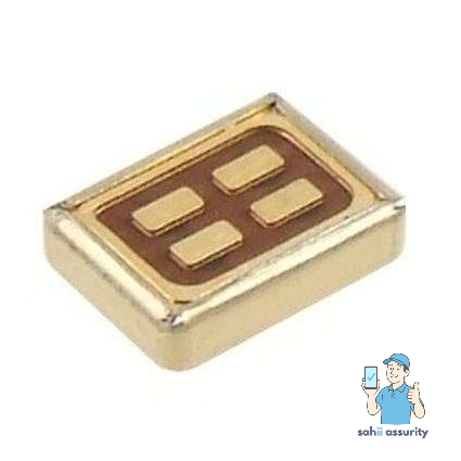 Microphone for Vivo Y21L